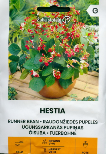 Scarlet runner bean "Helista"