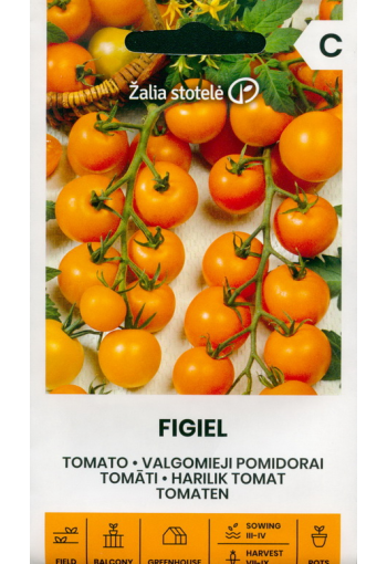 Tomat "Figiel"