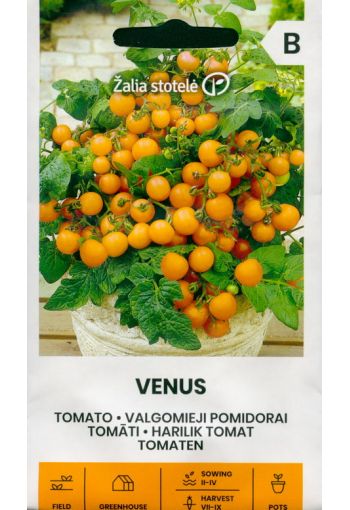 Tomato "Venus"