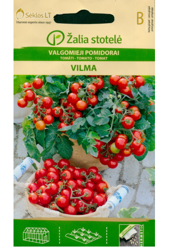 Tomat "Vilma"