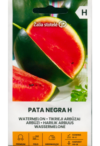  Watermelon "Negro" F1