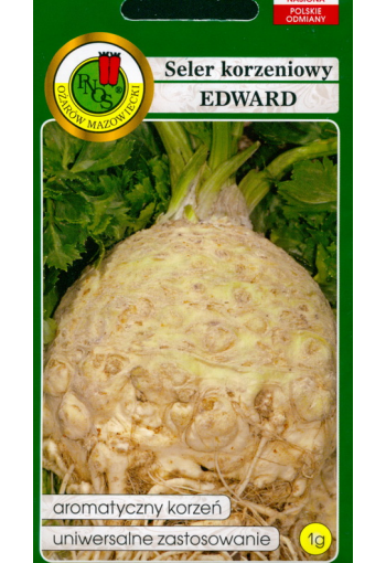 Celeriac "Edward"