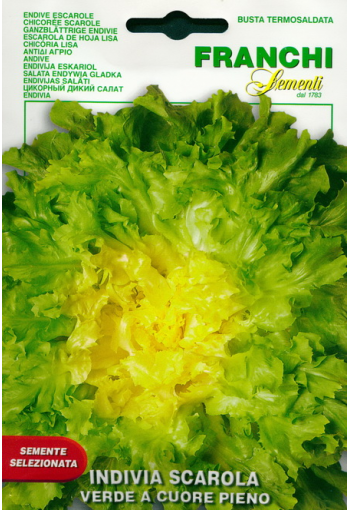 Chicory "Verde a Cuore Pieno" (escarole)