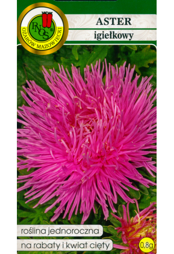 Aster needle "Pink"
