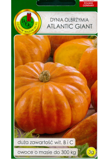 Jättepumpa "Atlantic Giant"