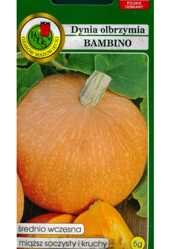 Pumpkin "Bambino"