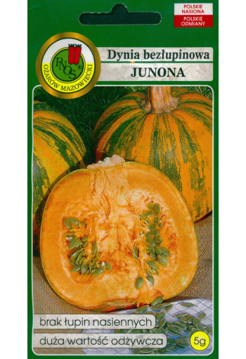 Pumpkin "Junona" (with seeds without a hard shell)