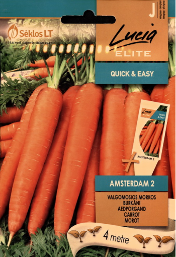 Морковь "Амстердам 2" (на ленте)