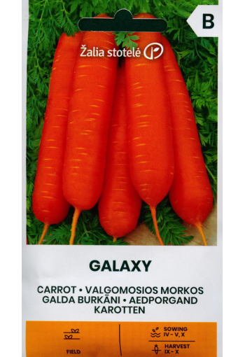 Морковь "Галактика"