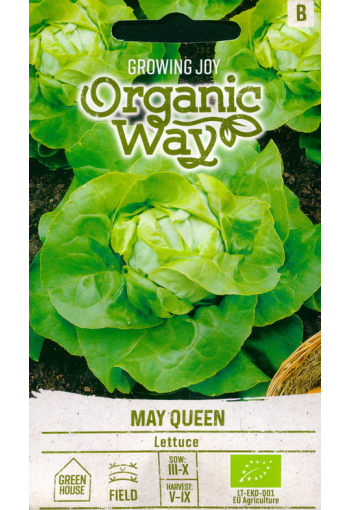 Lettuce "May Queen"