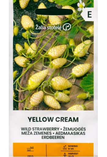 Aedmaasikas "Yellow Cream"