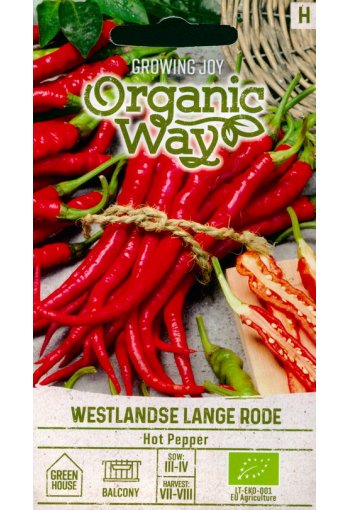 Hot pepper "Westlandse Lange Rode"