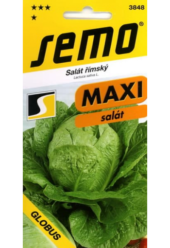 Cos lettuce "Globus"