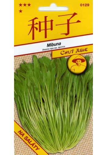 Japanese sheet cabbage "Mibuna"