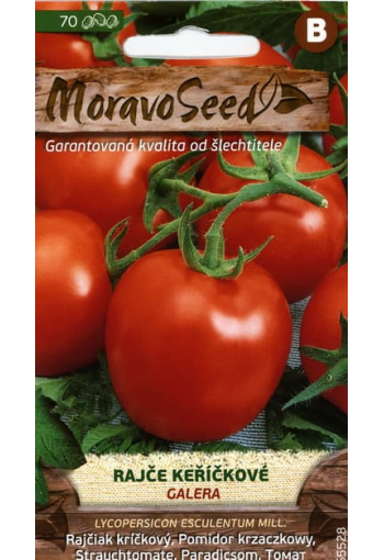 Tomaatti ''Galera''