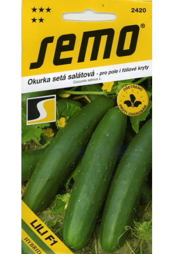 Salad cucumber "Lili" F1