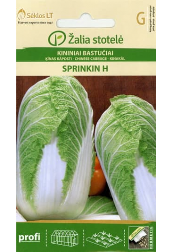 Chinese cabbage "Sprinkin" F1