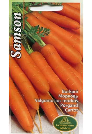 Carrot "Samson"