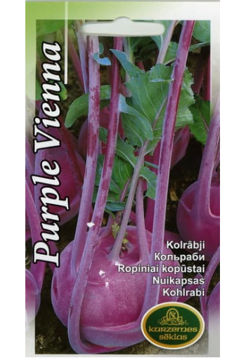 Kohlrabi "Purple Vienna"