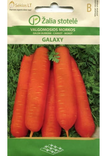 Porkkana "Galaxy"