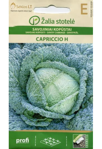 Savoy Cabbage "Capriccio" F1