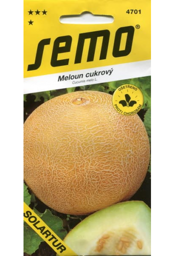 Melon "Solartur"