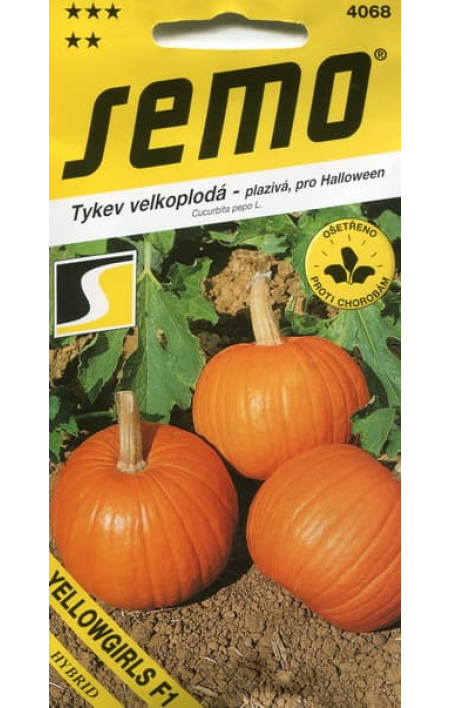 Pumpkin F1 Seeds Melon F1-1 g Sedek Тыква Дынька Farmer's dream 