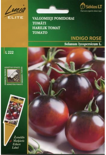 Tomat "Indigo Rose"