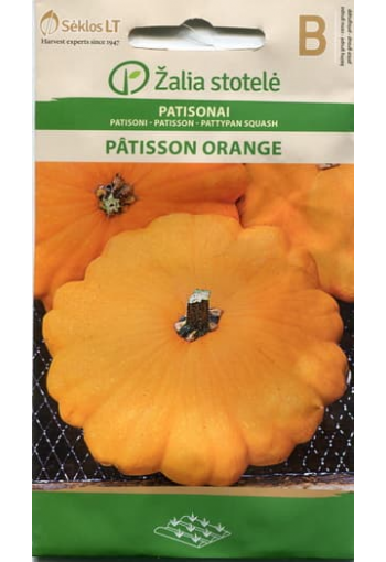 Patisson "Orange"
