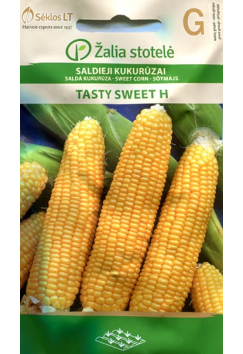 Supersweet corn "Tasty Sweet" F1