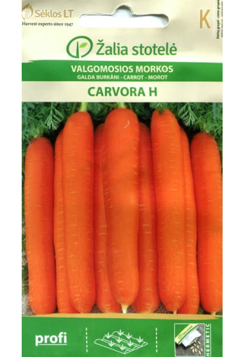 Porkkana "Carvora" F1
