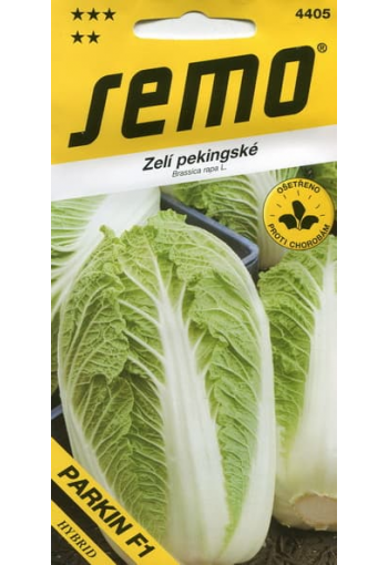 Chinese cabbage "Parkin" F1