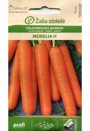 Carrot "Morelia" F1