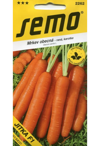 Carrot "Jitka" F1