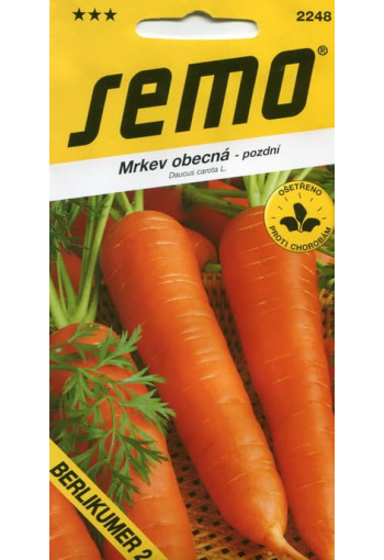 Carrot "Berlikumer 2"