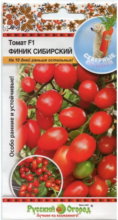Cherry rajčata 2019 20493_tomat_finik_sibirski-380x708