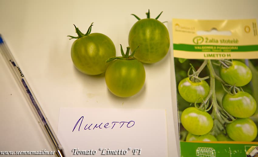 Roheline kirss-tomat Limetto F1